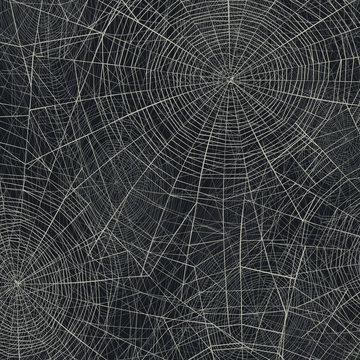 Spider web vector illustration. Abstract Halloween background.