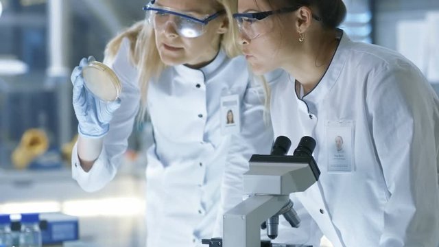 Medical Research Scientists Examine Petri Dish Sample and Look at Samples Under Microscope. They Work in a Modern Laboratory. Shot on RED EPIC-W 8K Helium Cinema Camera.