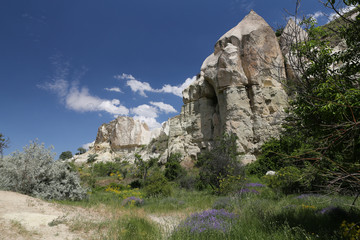 Fototapeta na wymiar Pigeons Valley in Cappadocia