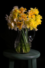 Daffodil Bouquet with Black Background