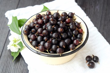 Delicious fresh black currants in plate 