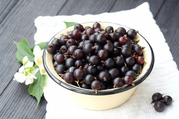 Delicious fresh black currants in plate 