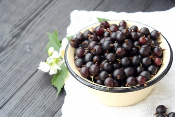 Delicious fresh black currants in plate 