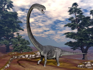 Obraz premium Omeisaurus dinosaur - 3D render