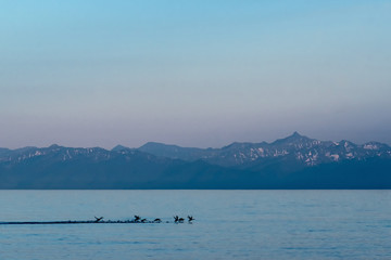 View of the Khamar-Daban Range