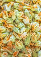 Fototapeta premium Squash Blossom