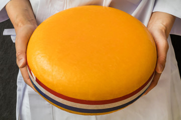 ゴーダチーズ　General Gouda cheese