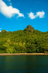 The pitons of St. Vincent near Orca Point 