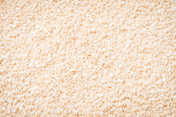 Sesame seeds close up macro shot