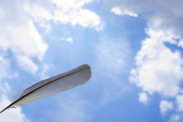 Processed with VSCO with  preset