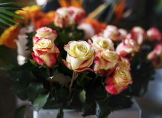 Floral leaves romance decoration freshness lush