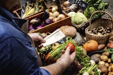 Man buying fresh organic vegetable at market - obrazy, fototapety, plakaty