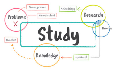 School education study process diagram