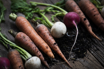 Closeup of carrots and beets on wooden table