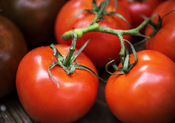 Closeup of fresh organic tomatoes