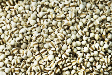 Closeup of jobs tears seeds product