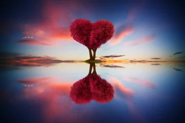 Foto op Plexiglas Abstract beeld van eenzaam rood kleurenblad en liefdesvormboom bij zonsopgangscène met bezinning in water. © jamesteohart