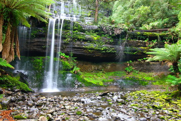 Mount Field National Park