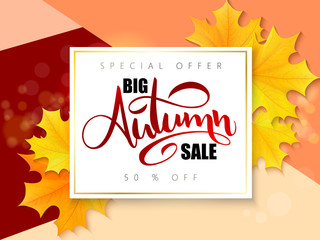 Vector autumn sale banner with hand lettering and yellow autumn maple leaves