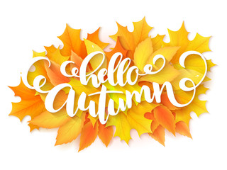 Vector banner with hand lettering label - hello autumn - on yellow autumn leaves background