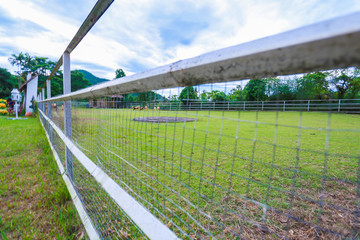 Fototapeta premium Sheep cage
