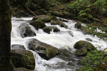 Obraz premium river