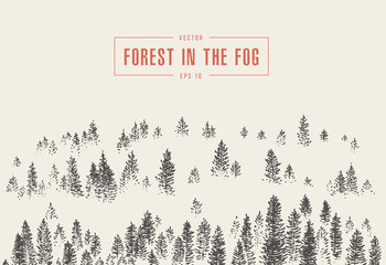 Misty fog pine forest mountain vector drawn sketch