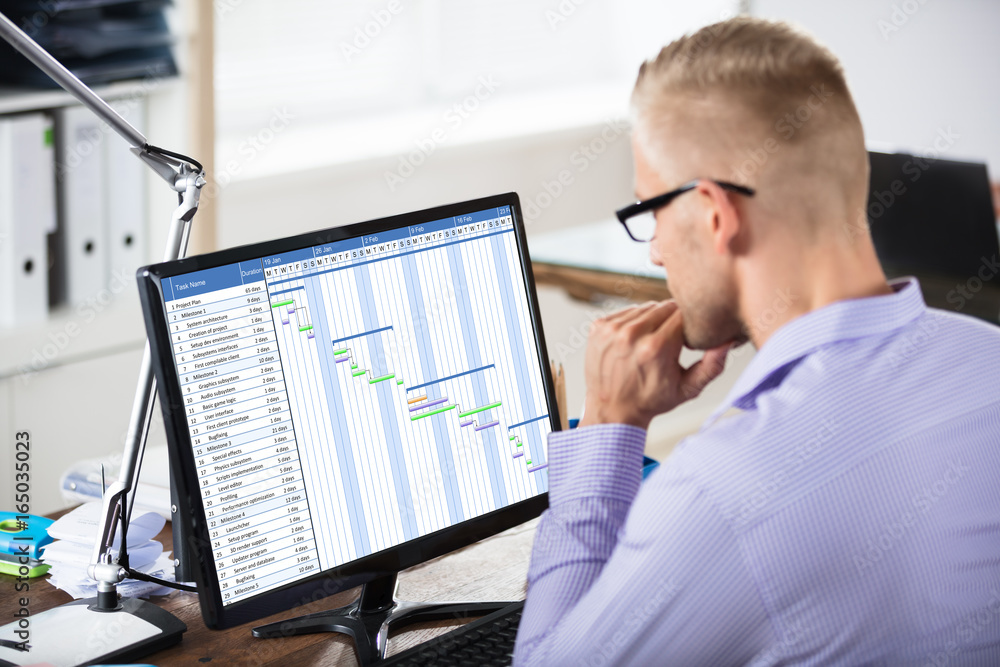 Poster businessman analyzing gantt chart on computer