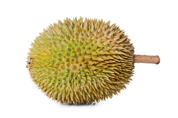 Malaysia fresh tropical durian fruit