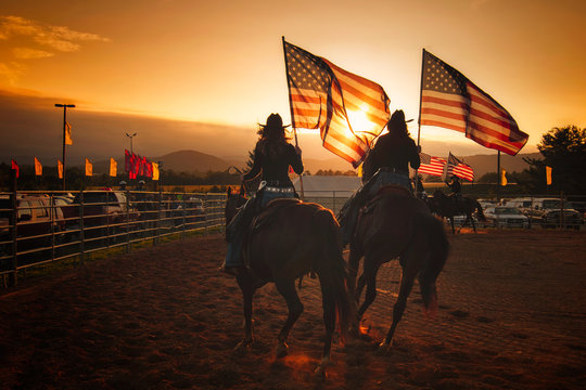 1,005 BEST American Flag Horse IMAGES, STOCK PHOTOS & VECTORS | Adobe Stock