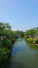 Fototapeta na wymiar 富山県氷見市　湊川沿いの桜並木 