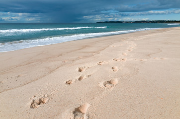 Human and dog footprints on the beach