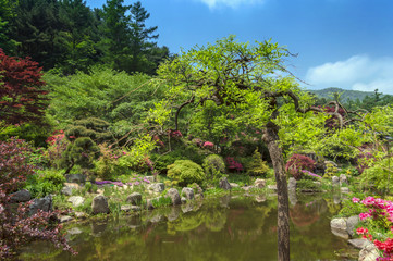 traditional korean garden with pond