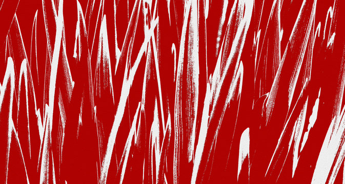 Lush green grass closeup