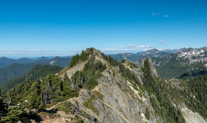 Fototapeta na wymiar Tolmie Peak Trail