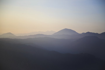Obraz na płótnie Canvas A view of the sunrise in the Cukul Tea Plantation, Bandung, Indonesia.