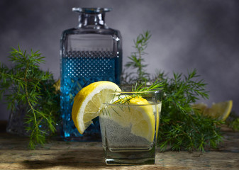 Gin with tonic and lemon .
