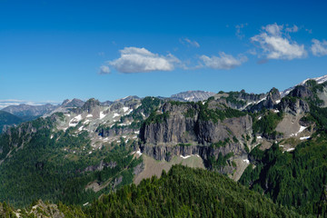 Fototapeta na wymiar Tolmie Peak Trail