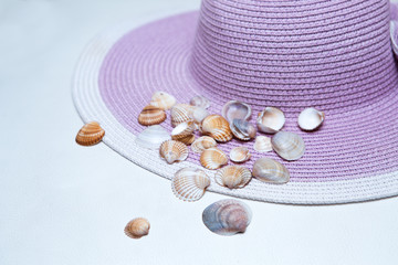 Shells on a Beach Hat