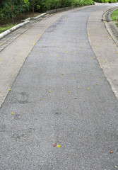 Cement walkway in the garden.