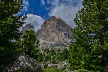 Fototapeta na wymiar Italy south tyrol dolomites mountains Langkofel trees