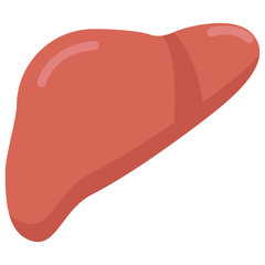 Human liver organ icon, vector illustration flat style design isolated on white. Colorful graphics