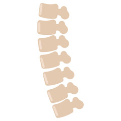 Human spine icon, vector illustration flat style design isolated on white. Colorful graphics