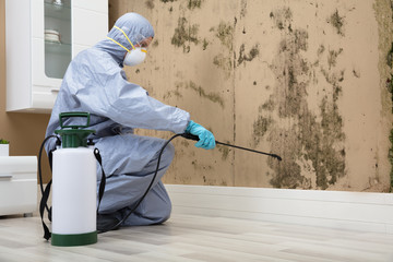Pest Control Worker Spraying Pesticide On Wall