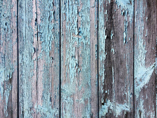 Cracked paint on a wooden texture. Blue. Background. 