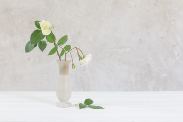 roses in vase on old white background