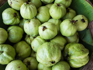 fresh guavas fruit sale in a shop