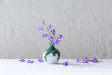bluebell in vase on white background