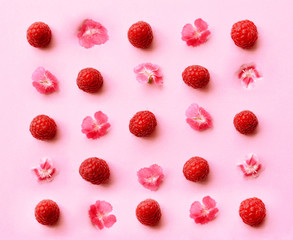 Freshly picked ripe raspberries on pink background.