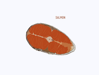Raw salmon slice for grilled steak, sketch vector.